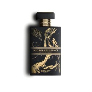 Oud For Excellence By Brandy 100 ML